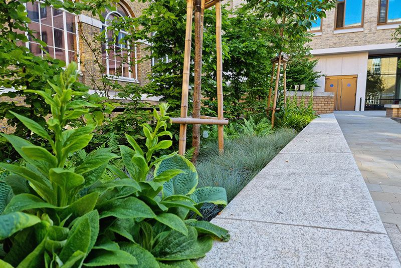 residential garden services north london