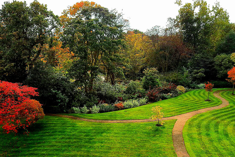 Garden Design North london