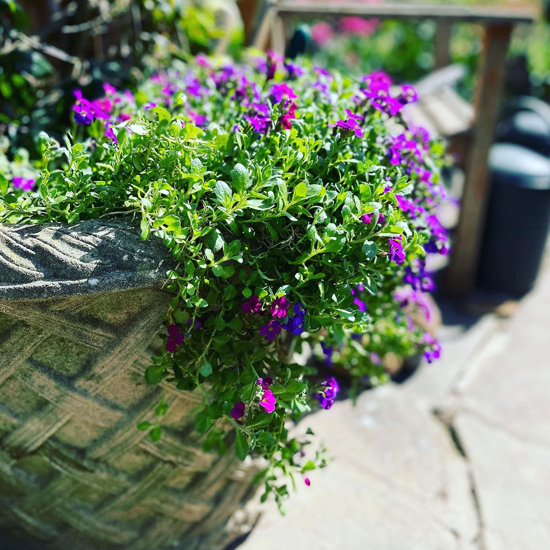 gardeners-hamstead-enfield-london